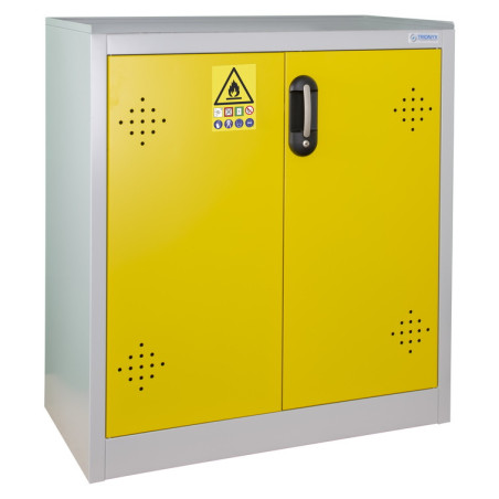 Armoire de sécurité - 2 portes - Conformité Code Santé Publique - 1000 x 930 x 500 mm - Acier