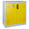 Armoire de sécurité - 2 portes - Conformité Code Santé Publique - 1000 x 930 x 500 mm - Acier