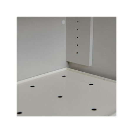 Armoire de sécurité - Résistance 30 minutes - Norme EN 14470-1 - 1980 x 1115 x 550 mm - Acier