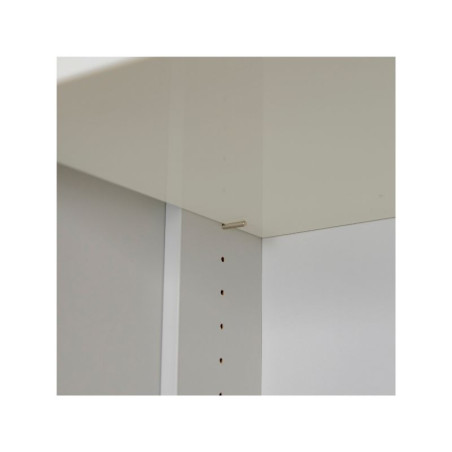 Armoire de sécurité - Résistance 30 minutes - Norme EN 14470-1 - 1980 x 1115 x 550 mm - Acier