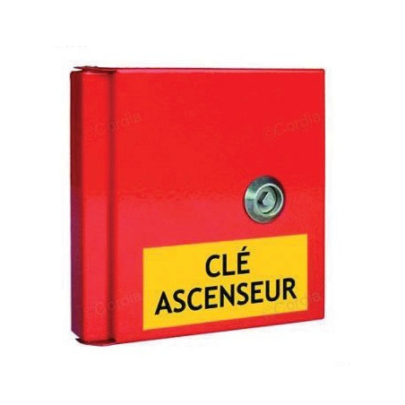 Boîte à clés - Porte pleine, clé triangle - 155 x 155 mm - Tôle