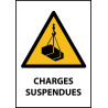 Panneau de Danger "Charges suspendues" Vinyle A5