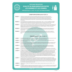 Poster d'affichage "Egalité de rémunération H/F"