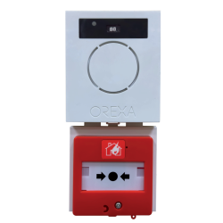 Alarme type 4 autonome IP 55 - Avec ou sans flash - Lot de 10 clés de réarmement incluses