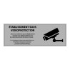 Panneau « Etablissement sous vidéo-protection» ISO 7010