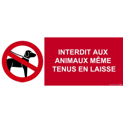 Panneau d'interdiction - Interdit aux Animaux Même Tenus en Laisse