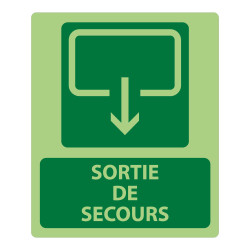 Panneau sécurité - Sortie de Secours 300x250mm - Photoluminescent