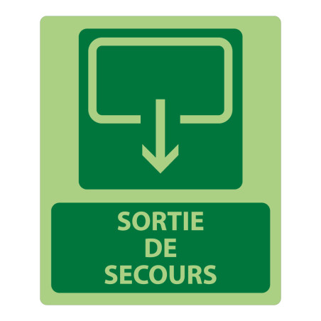 Panneau sécurité - Sortie de Secours 300x250mm - Photoluminescent