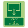 Panneau sécurité - Sortie de Secours 300x250mm - Photoluminescent