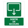 Panneau sécurité - Sortie de Secours 300x250mm - Photoluminescent