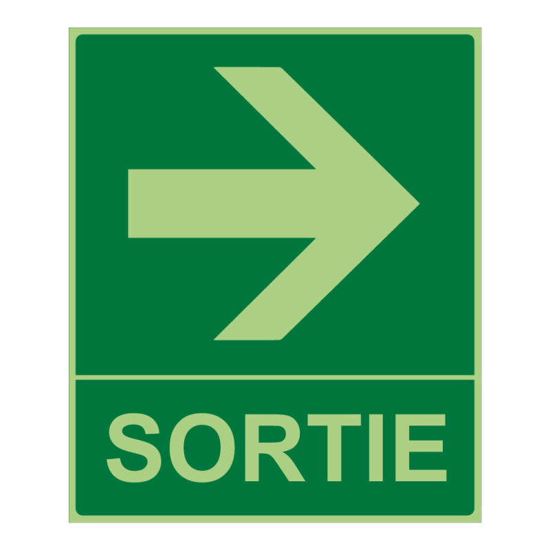 Panneau - Sortie flèche droite 300x250 mm - Photoluminescent