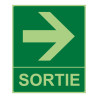 Panneau - Sortie flèche droite 300x250 mm - Photoluminescent