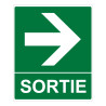 Panneau - Sortie flèche droite 300x250 mm - Photoluminescent