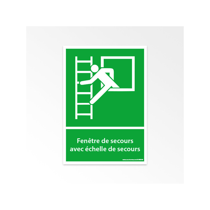 Panneaux ISO 7010 d'évacuation - Fenêtre de secours avec échelle de secours - E016