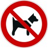 Rouleau Mini Pictogramme d'Interdiction double-face "Interdit aux chiens"