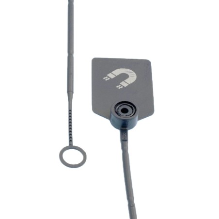 Scellés de Sécurité - DETEC - 275mm - Polyéthylène - par 100