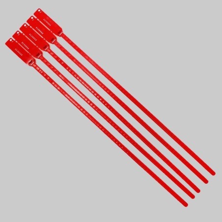 Scellés de Sécurité - STRAPSEAL - Plastique - par 100