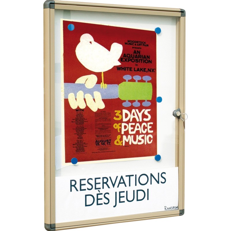 Vitrine d'Affichage Extérieur - Fond Magnétique