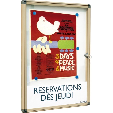 Vitrine d'Affichage Extérieur - Fond Magnétique