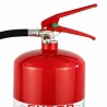 Extincteur eau sans fluor (PFAS) EXPER 6 à 9L Feux AB