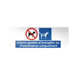 Panneau Chiens guides ou assistance uniquement - 210 x 75 mm