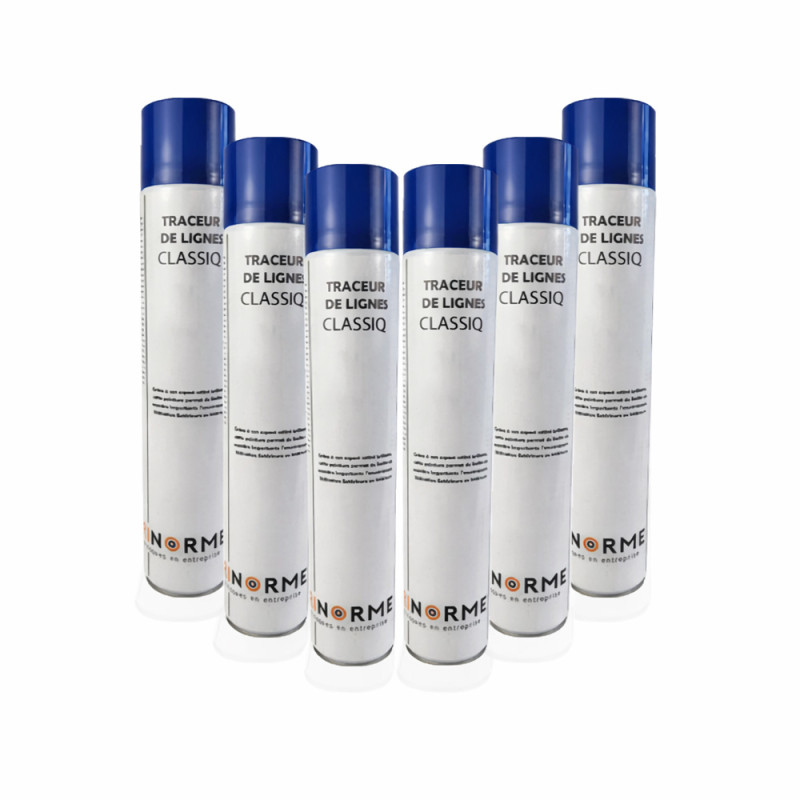 Peinture de Traçage au Sol - Bleu - Époxy - 750ml - lot de 6