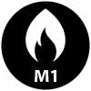 M1