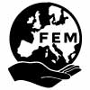 FEM